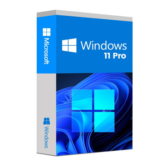 Microsoft Windows 11 Pro